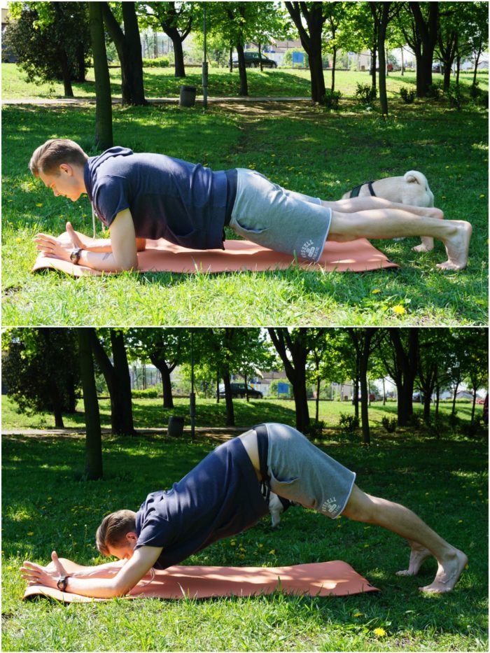 pies z głową w dół